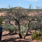 OTRA2013_2058 (July 21, 2013)